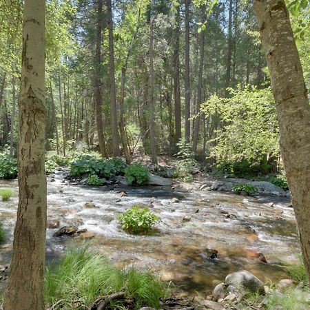 Riverfront Home Near Yosemite National Park! Groveland Dış mekan fotoğraf