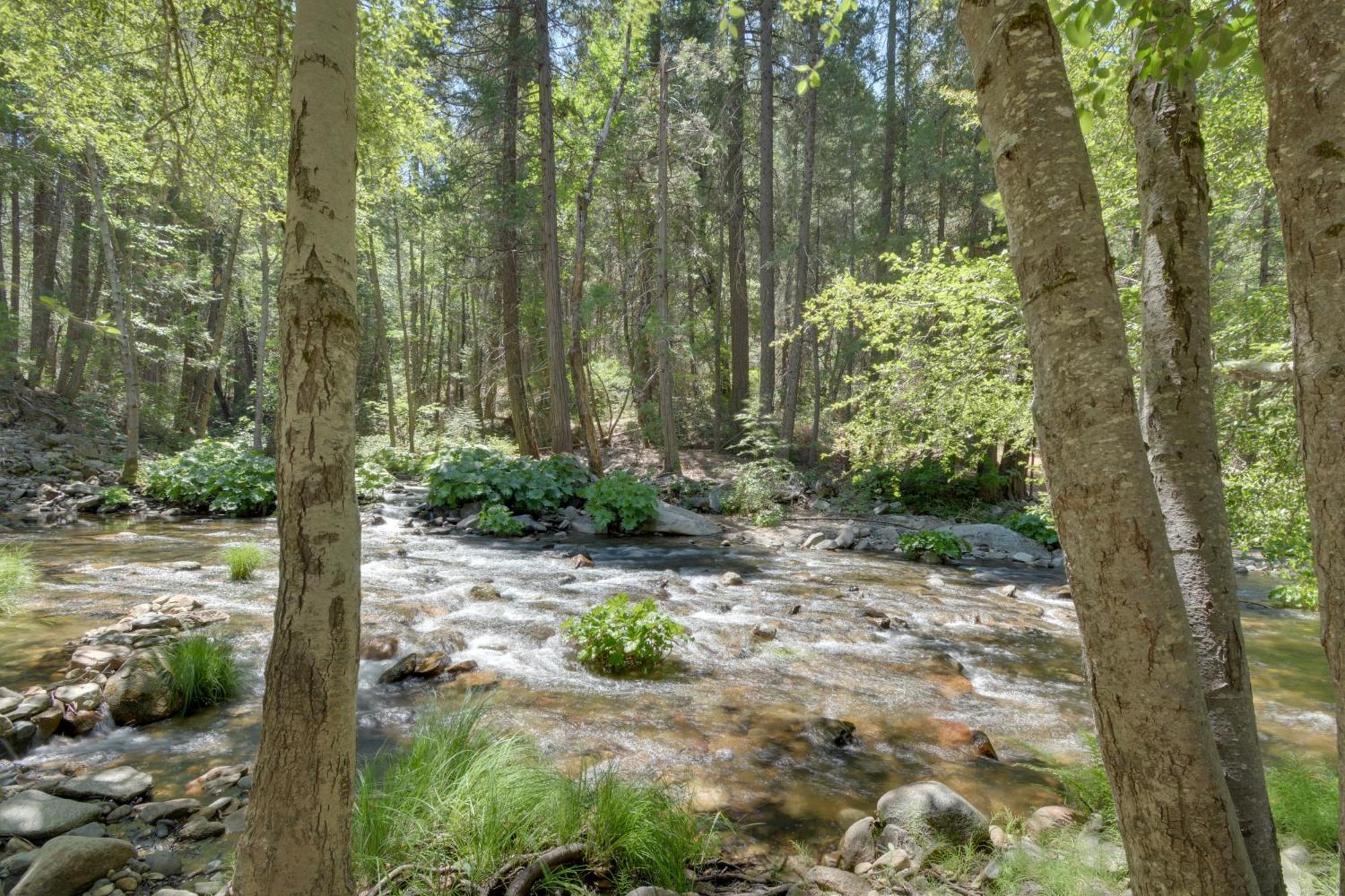 Riverfront Home Near Yosemite National Park! Groveland Dış mekan fotoğraf